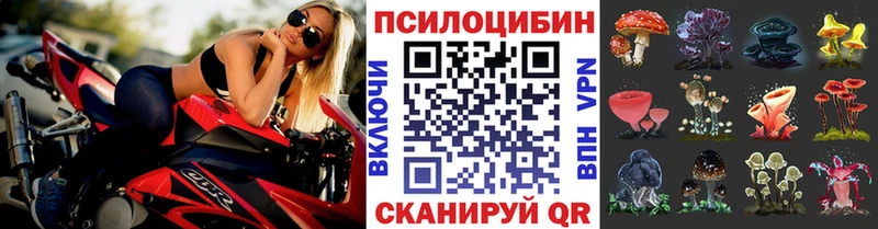Псилоцибиновые грибы Psilocybine cubensis  магазин  наркотиков  Великий Новгород 