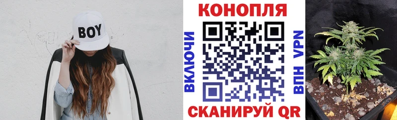 Шишки марихуана план  Великий Новгород 